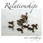 duck-relationships